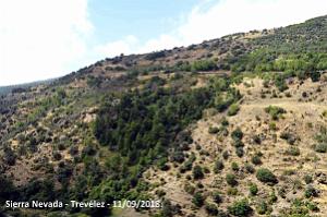 15 ANDALOUSIE - SIERRA NEVADA - TREVELEZ 11 09 2018 (5)